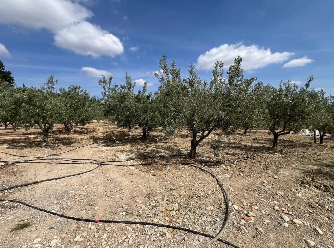 2 soveværelse Villa til salg i Chiva med swimmingpool - € 150.000 (Ref: 8318329)