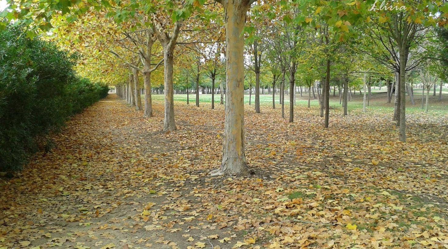 3 camera da letto Villa in vendita in Lliria con piscina - 397.000 € (Rif: 8652858)