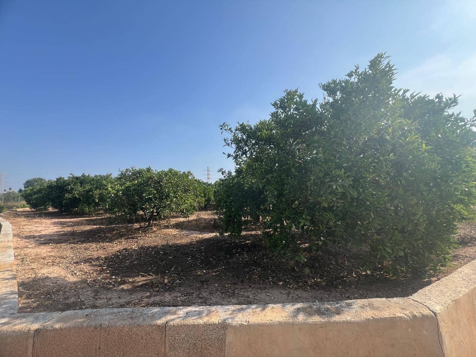 Grunde uden byggetilladelser til salg i Paterna - € 18.000 (Ref: 9075047)