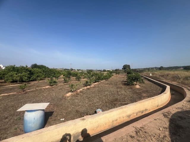 Teren niezagospodarowany na sprzedaż w Paterna - 18 000 € (Ref: 9075047)