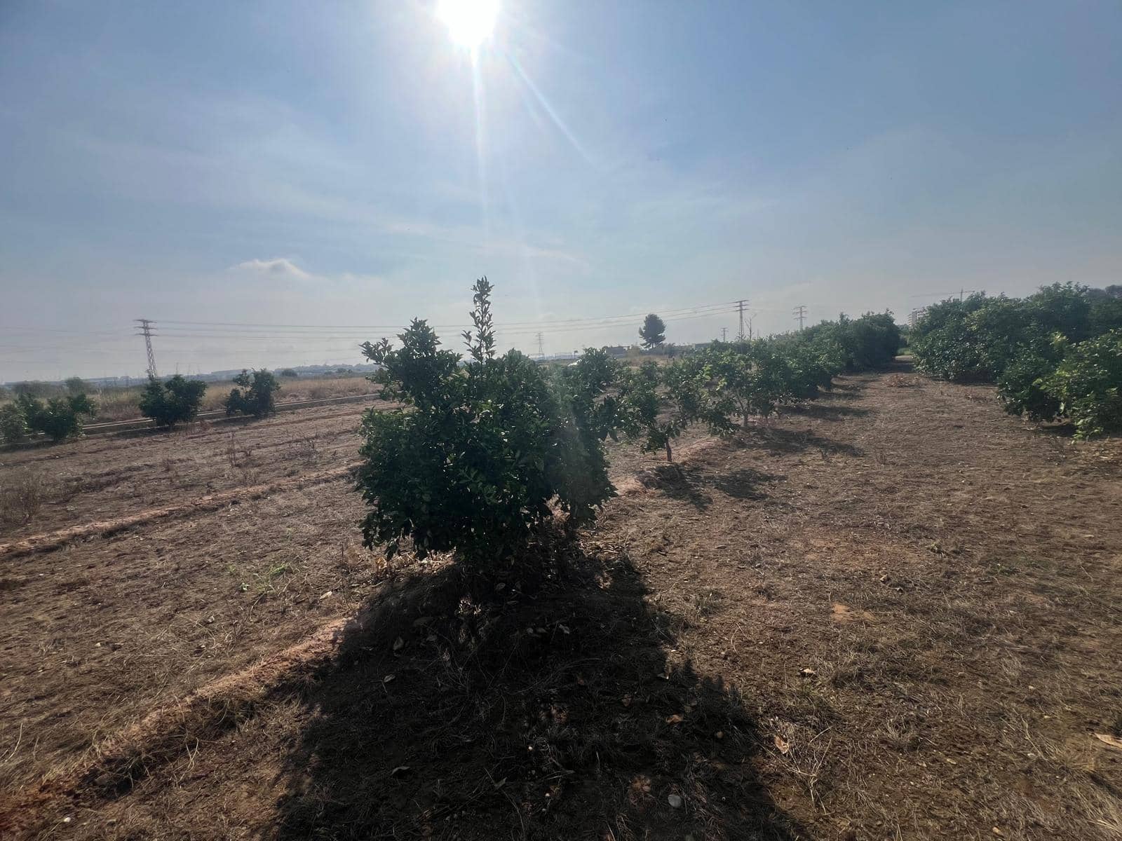 Grunde uden byggetilladelser til salg i Paterna - € 18.000 (Ref: 9075047)