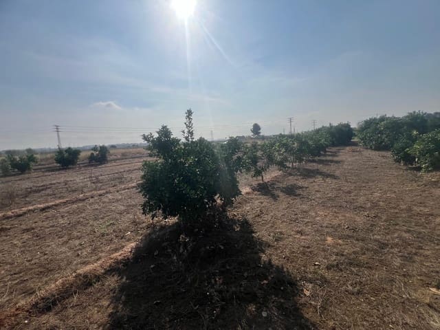 Teren niezagospodarowany na sprzedaż w Paterna - 18 000 € (Ref: 9075047)