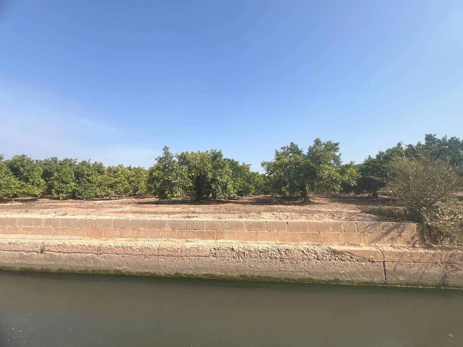 Grunde uden byggetilladelser til salg i Paterna - € 12.000 (Ref: 9075048)