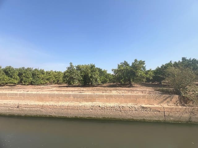 Terreno Non Edificato in vendita in Paterna - 12.000 € (Rif: 9075048)