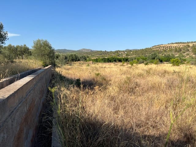 Finca/Landgut zu verkaufen in Olocau - 12.500 € (Ref: 9129710)