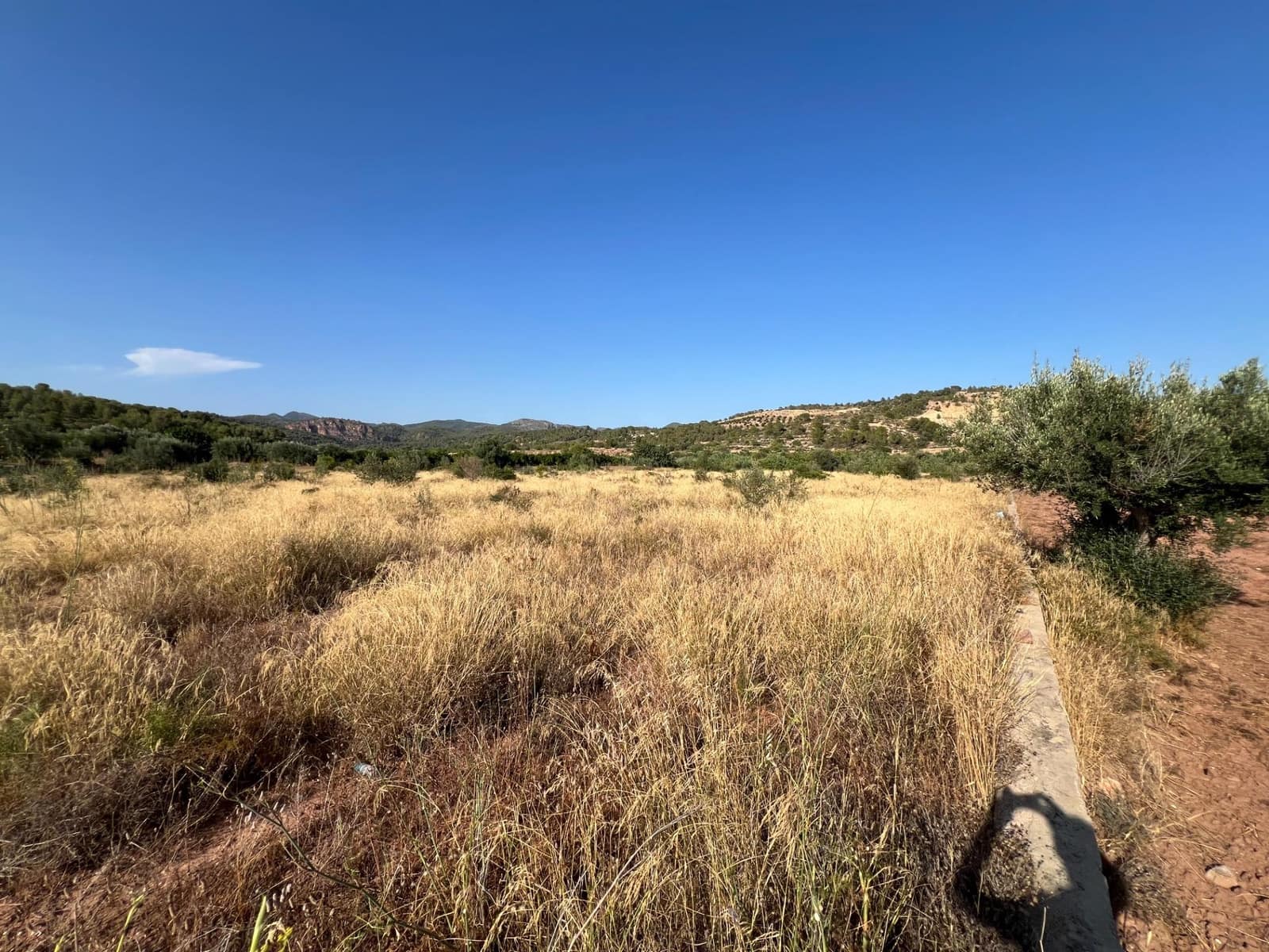 Finka/Dom wiejski na sprzedaż w Olocau - 12 500 € (Ref: 9129710)