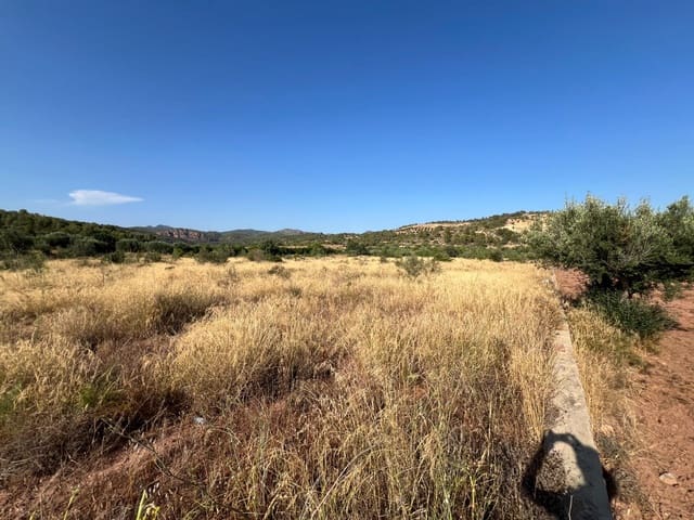 Finca/Landgut zu verkaufen in Olocau - 12.500 € (Ref: 9129710)