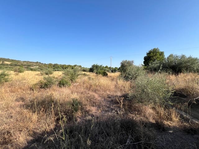 Finca/Landgut zu verkaufen in Olocau - 12.500 € (Ref: 9129710)