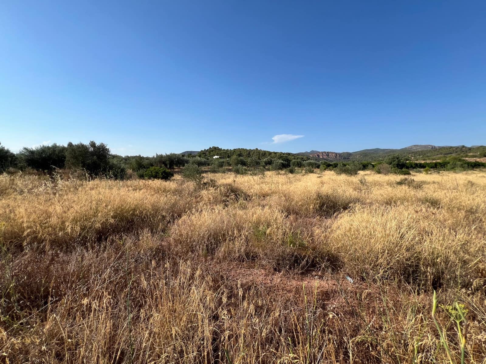 Finka/Dom wiejski na sprzedaż w Olocau - 12 500 € (Ref: 9129710)