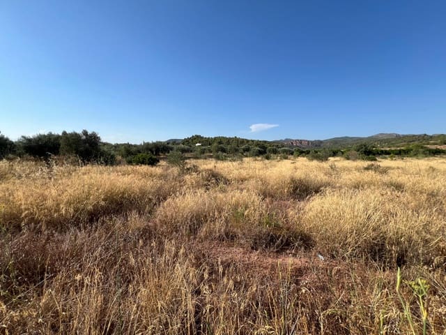 Finca/Landgut zu verkaufen in Olocau - 12.500 € (Ref: 9129710)