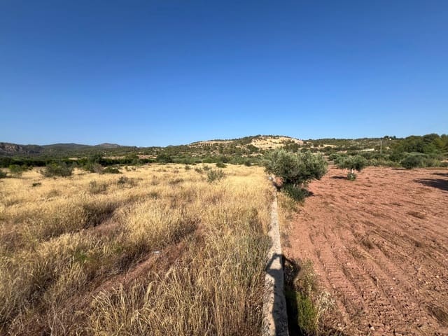 Finca/Landgut zu verkaufen in Olocau - 12.500 € (Ref: 9129710)