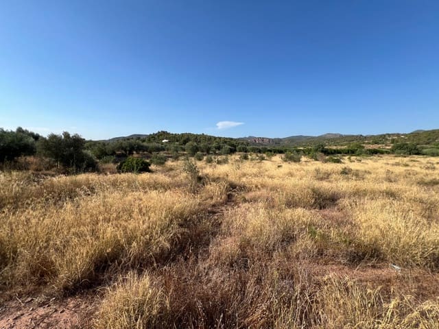 Finca/Landgut zu verkaufen in Olocau - 12.500 € (Ref: 9129710)