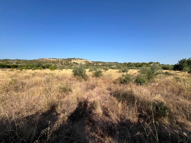 Finca/Landgut zu verkaufen in Olocau - 12.500 € (Ref: 9129710)