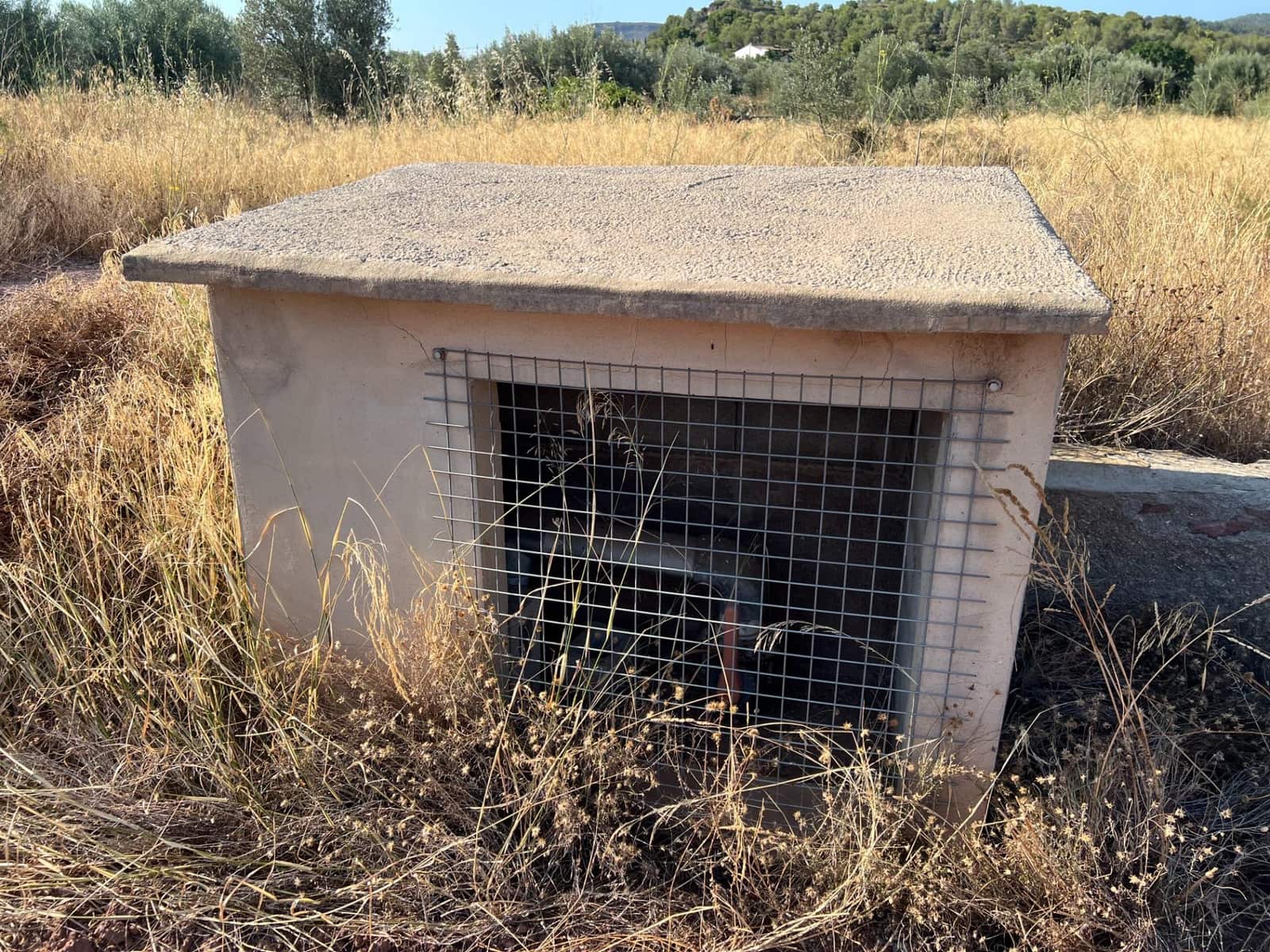 Finka/Dom wiejski na sprzedaż w Olocau - 12 500 € (Ref: 9129710)