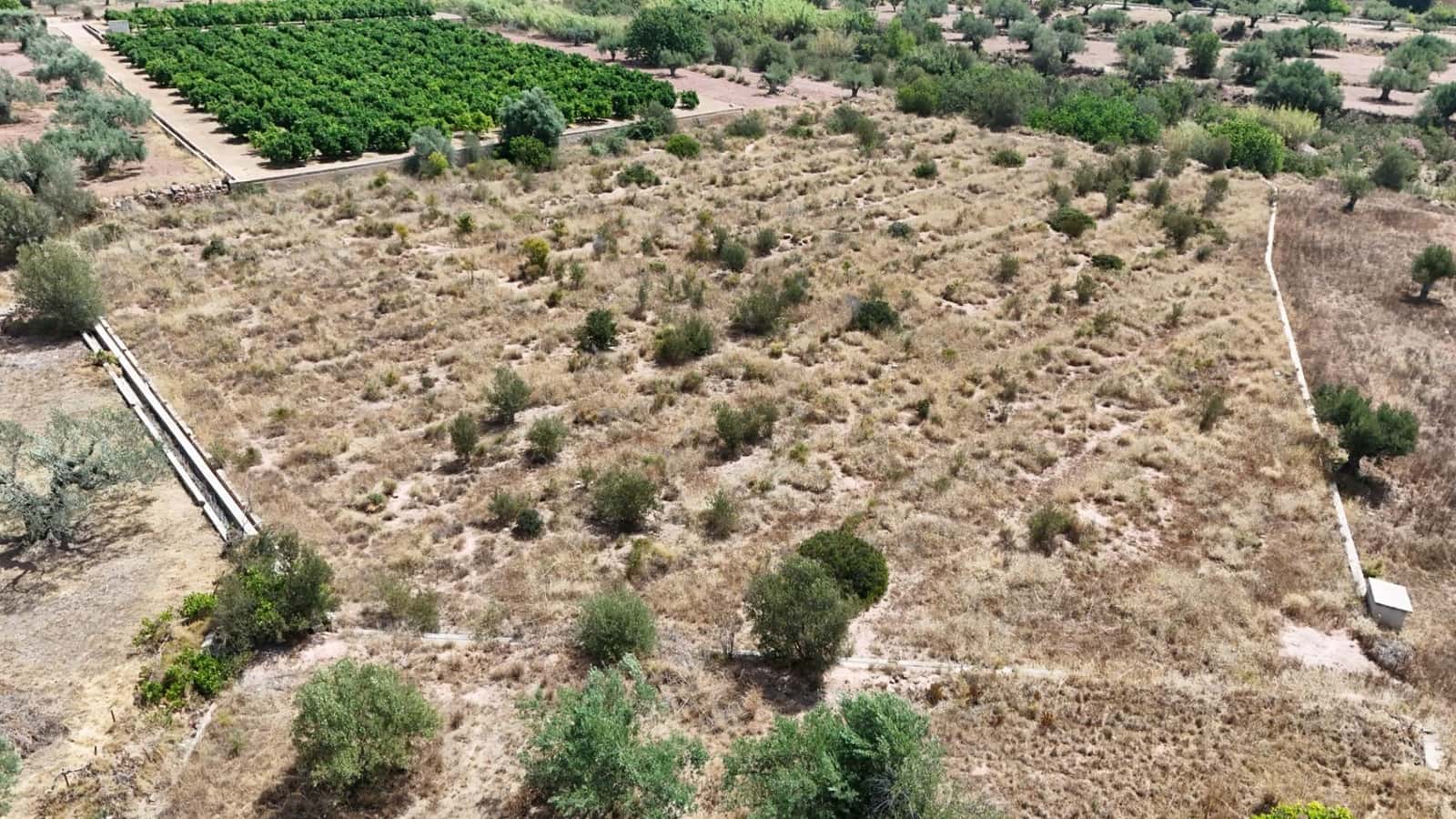 Terreno Non Edificato in vendita in Olocau - 12.500 € (Rif: 9129710)