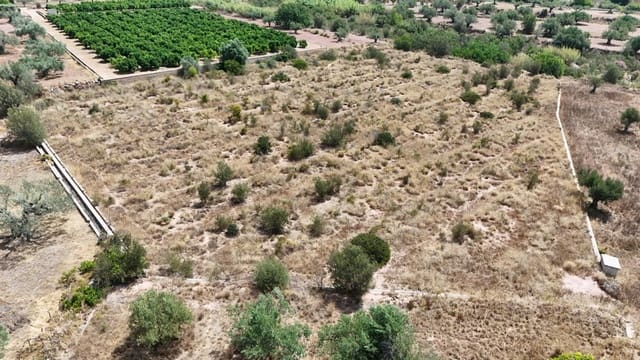 Terreno Não Urbanizado para venda em Olocau - 12 500 € (Ref: 9129710)