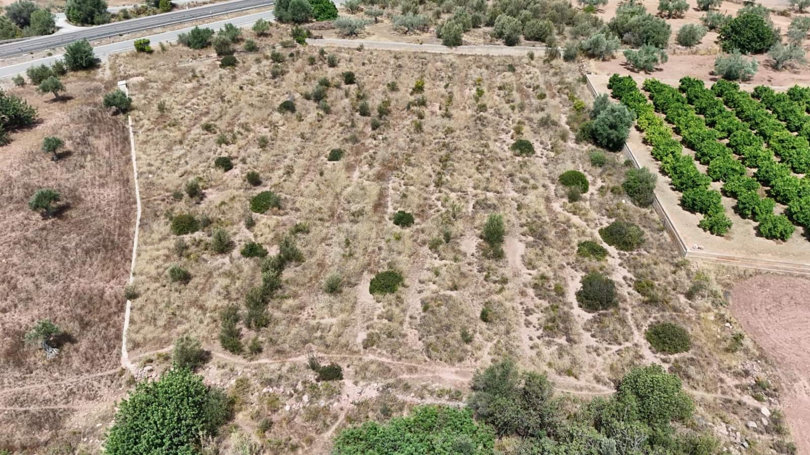 Terreno Non Edificato in vendita in Olocau - 12.500 € (Rif: 9129710)