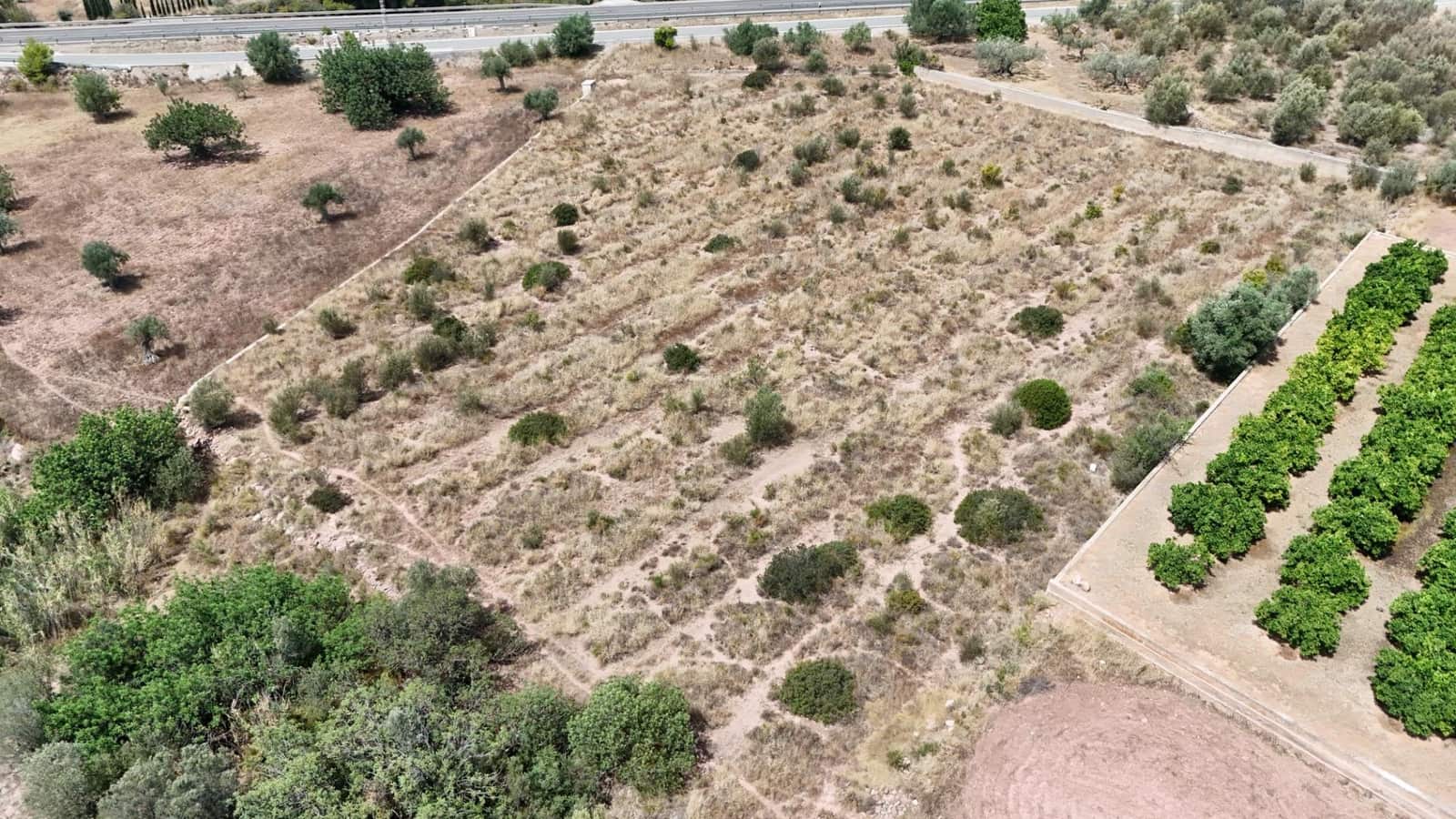 Terreno Non Edificato in vendita in Olocau - 12.500 € (Rif: 9129710)