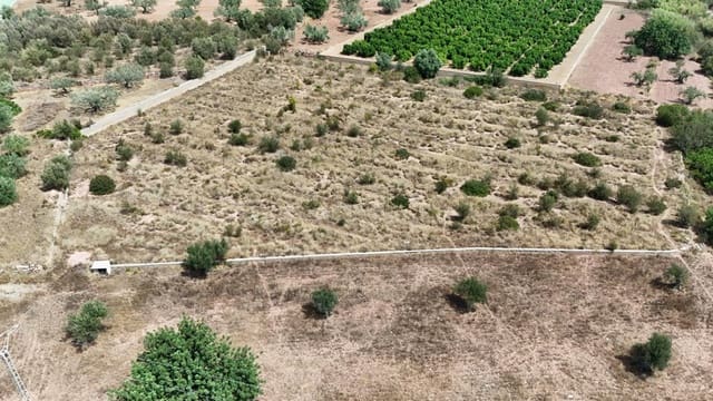 Terreno Não Urbanizado para venda em Olocau - 12 500 € (Ref: 9129710)