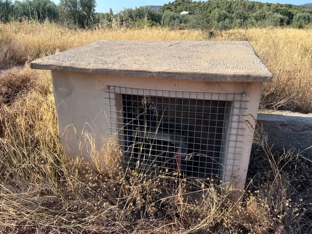 Terreno Não Urbanizado para venda em Olocau - 12 500 € (Ref: 9129710)