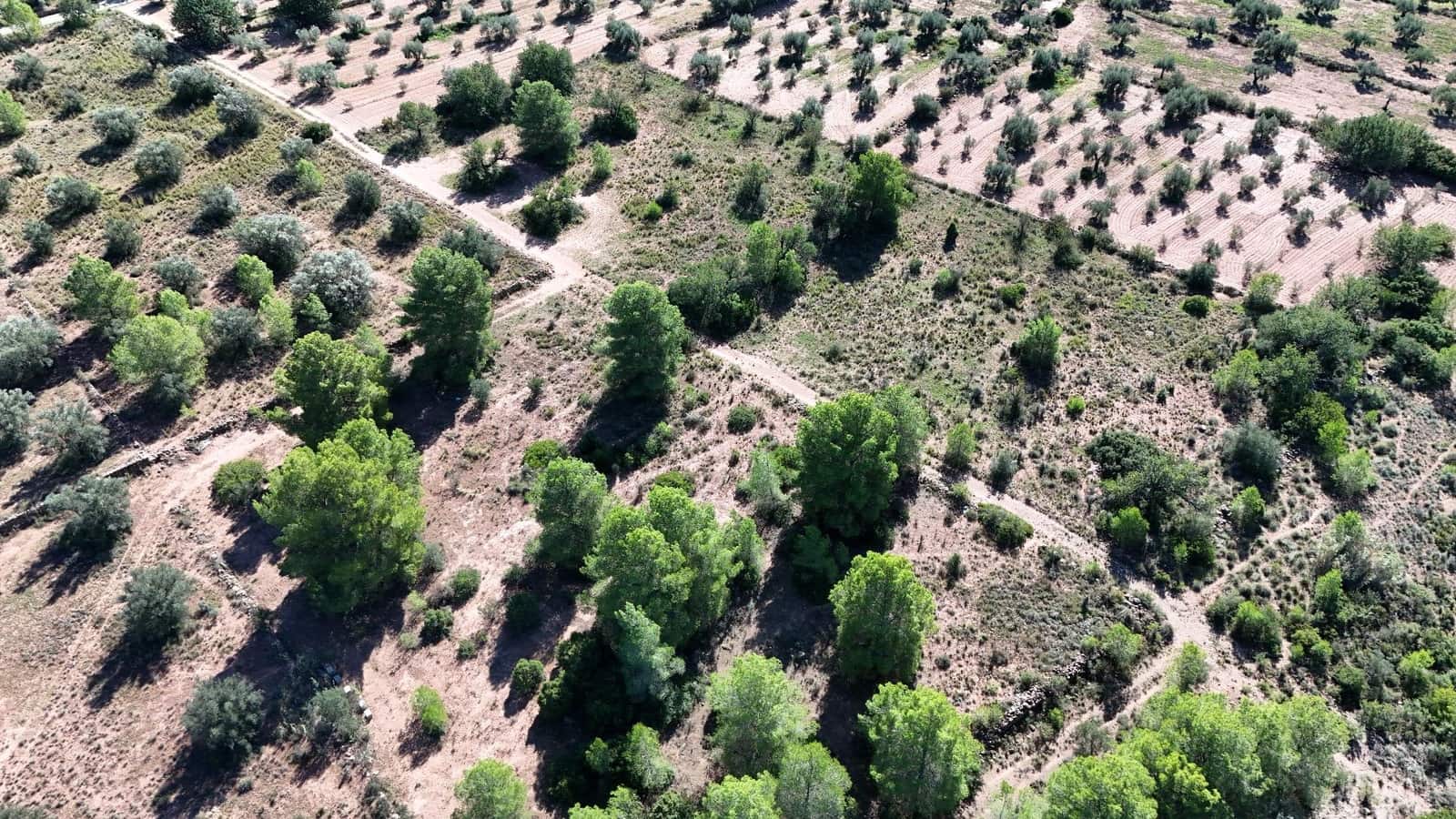 Ubebygd land til salgs i Olocau - € 22 000 (Ref: 9341177)