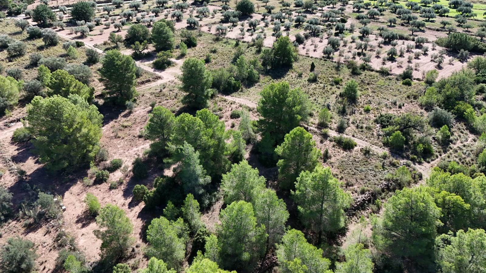 Ubebygd land til salgs i Olocau - € 22 000 (Ref: 9341177)