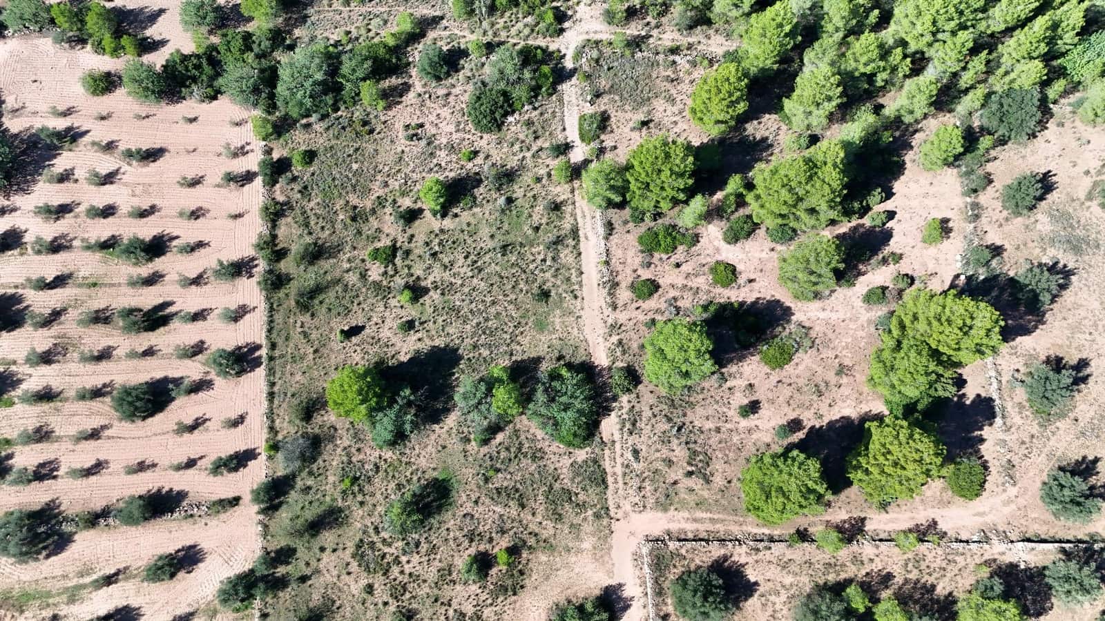 Ubebygd land til salgs i Olocau - € 22 000 (Ref: 9341177)