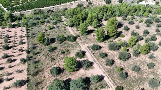 Grunde uden byggetilladelser til salg i Olocau - € 22.000 (Ref: 9341177)