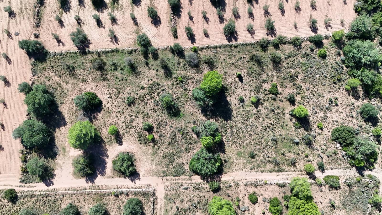 Ubebygd land til salgs i Olocau - € 22 000 (Ref: 9341177)