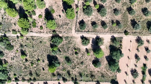 Grunde uden byggetilladelser til salg i Olocau - € 22.000 (Ref: 9341177)