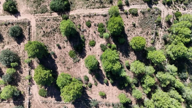 Grunde uden byggetilladelser til salg i Olocau - € 22.000 (Ref: 9341177)