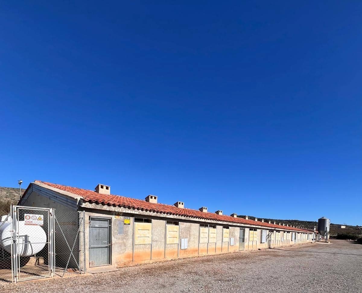 Bedrijf te koop in Alcublas - € 120.000 (Ref: 9355829)