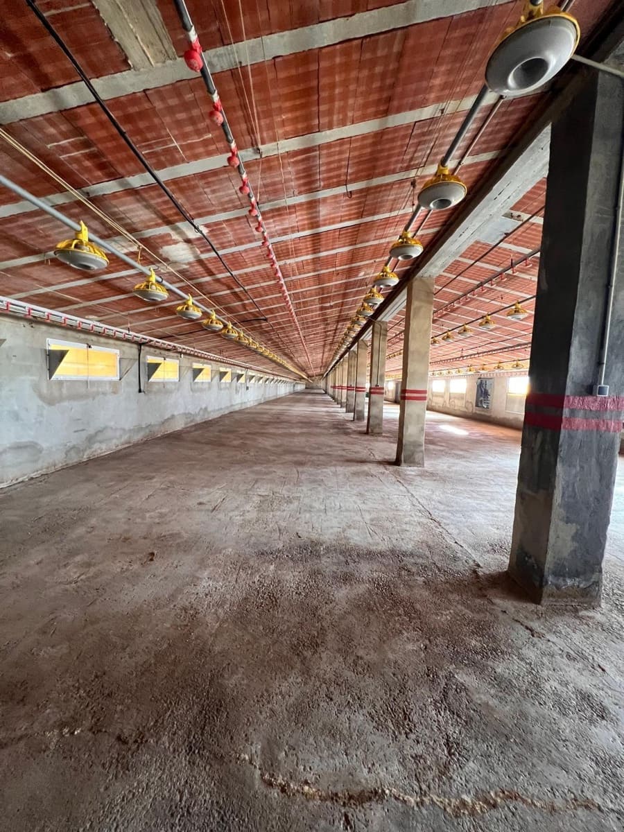 Bedrijf te koop in Alcublas - € 120.000 (Ref: 9355829)