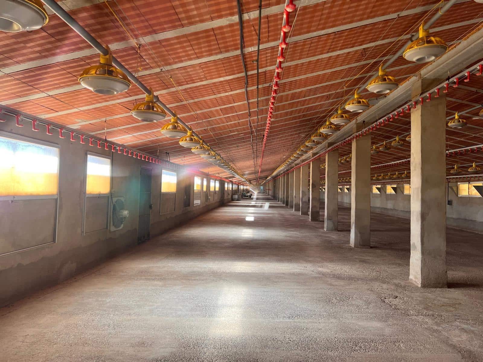 Bedrijf te koop in Alcublas - € 120.000 (Ref: 9355829)