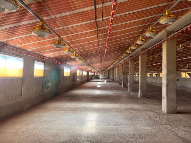 Biznes na sprzedaż w Alcublas - 120 000 € (Ref: 9355829)