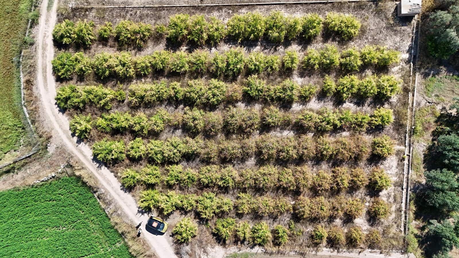 Terreno Non Edificato in vendita in Lliria - 8.000 € (Rif: 9395972)