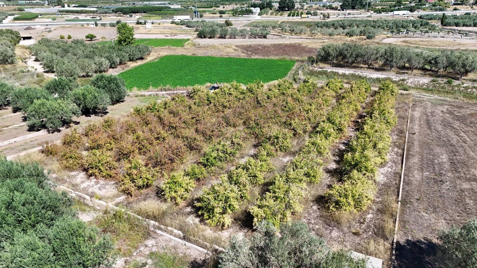 Terreno Non Edificato in vendita in Lliria - 8.000 € (Rif: 9395972)