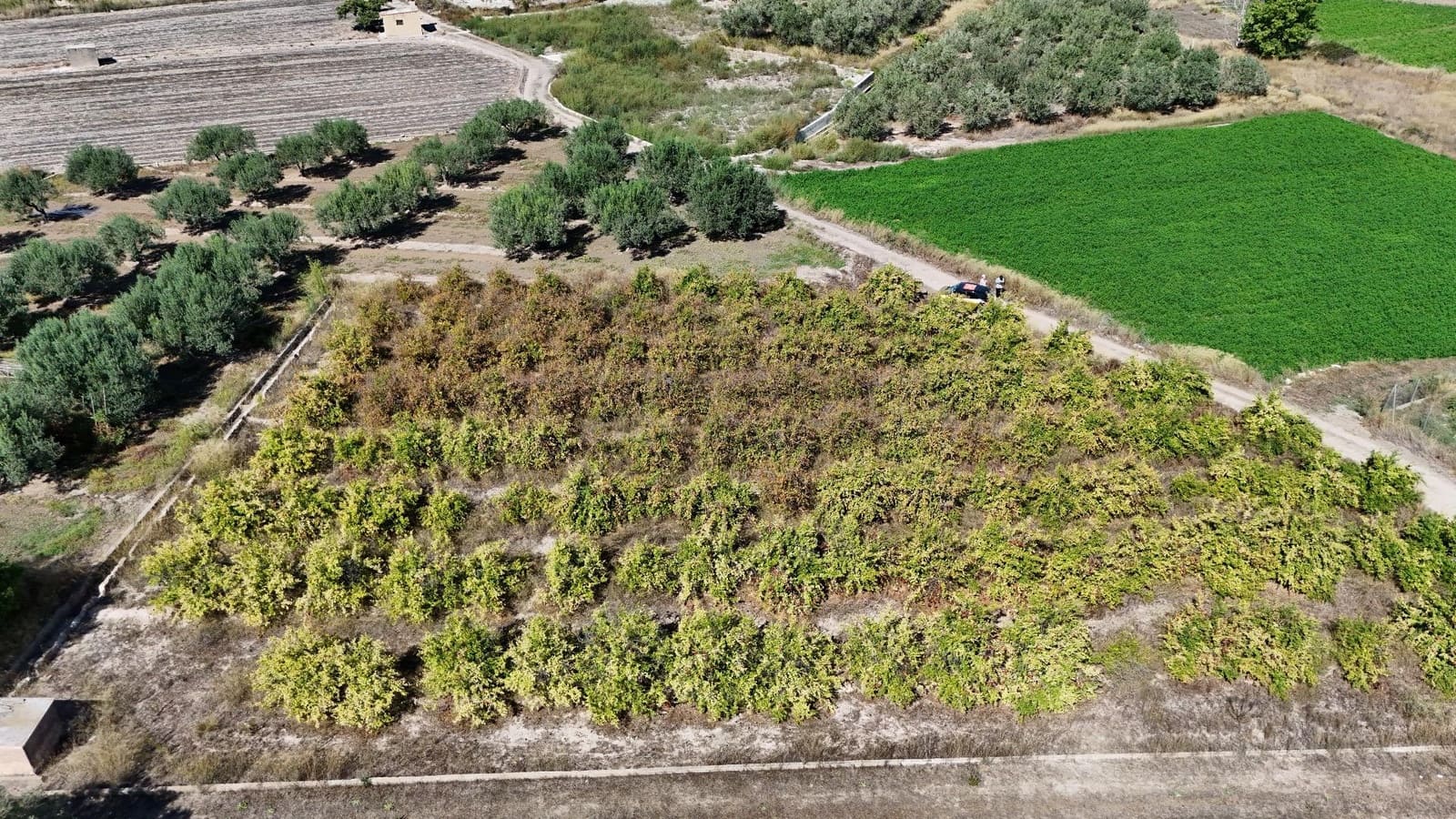 Terreno Non Edificato in vendita in Lliria - 8.000 € (Rif: 9395972)