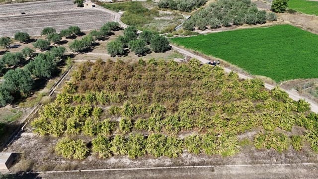 Undeveloped Land for sale in Llíria - € 8,000 (Ref: 9395972)