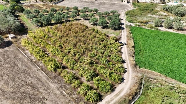 Undeveloped Land for sale in Llíria - € 8,000 (Ref: 9395972)