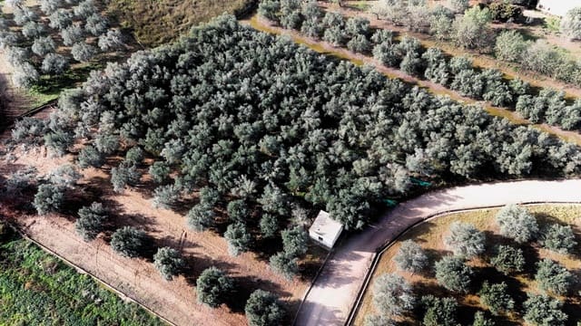 1 soverom Finca/Herregård til salgs i Llíria - € 22 000 (Ref: 9491307)