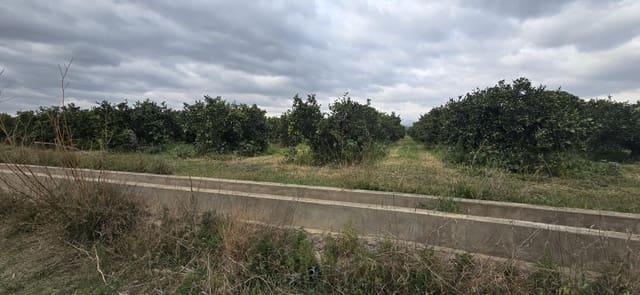 Grunde uden byggetilladelser til salg i Llíria - € 149.000 (Ref: 9651943)