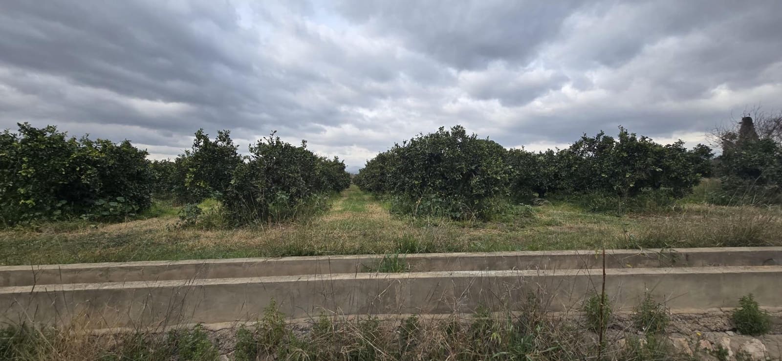 Terre non Aménagée à vendre à Lliria - 149 000 € (Ref: 9651943)