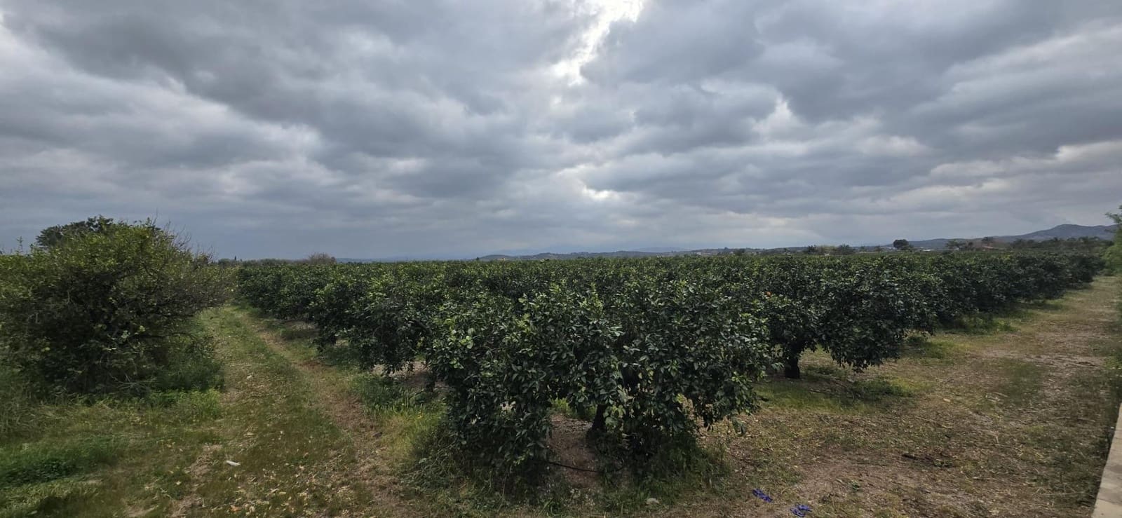 Terre non Aménagée à vendre à Lliria - 149 000 € (Ref: 9651943)