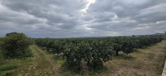 Grunde uden byggetilladelser til salg i Llíria - € 149.000 (Ref: 9651943)