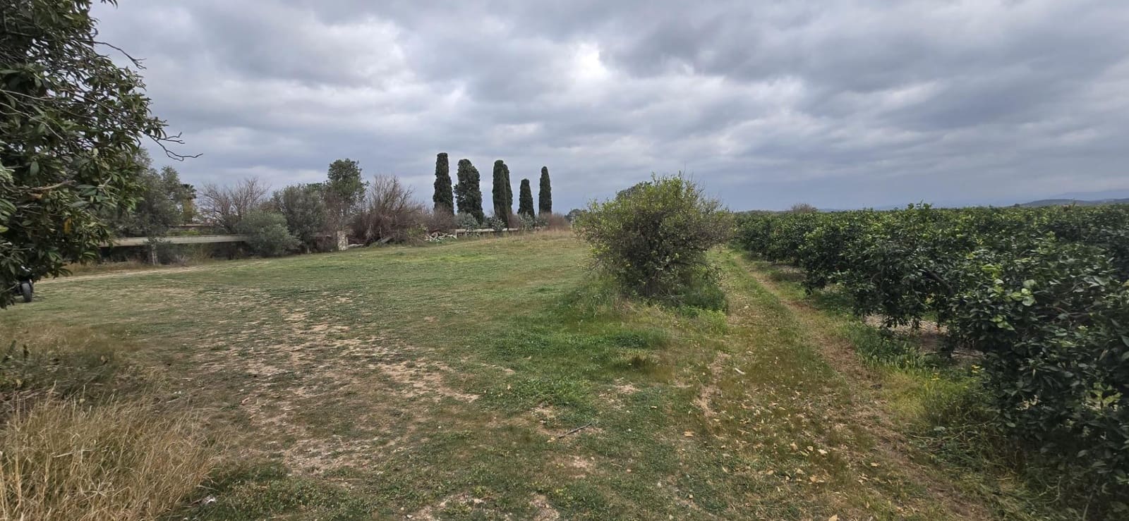 Terre non Aménagée à vendre à Lliria - 149 000 € (Ref: 9651943)