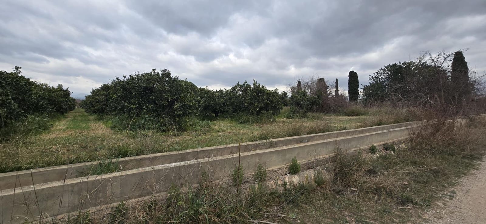 Terre non Aménagée à vendre à Lliria - 149 000 € (Ref: 9651943)