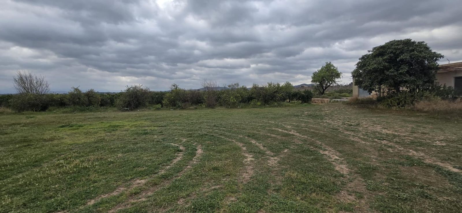 Terre non Aménagée à vendre à Lliria - 149 000 € (Ref: 9651943)