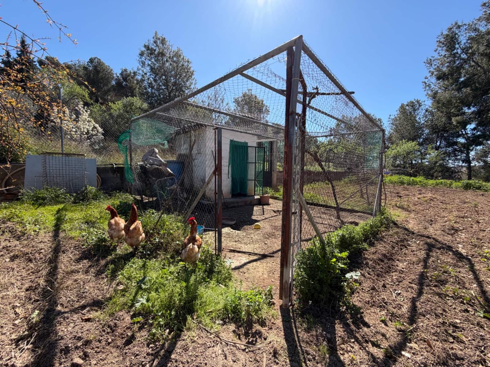 4 soveværelse Villa til salg i Casinos med swimmingpool garage - € 155.000 (Ref: 9686397)