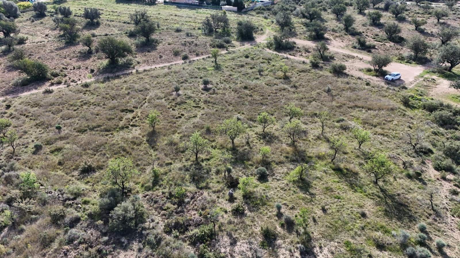 Grond te koop in Lliria - € 8.500 (Ref: 9695316)